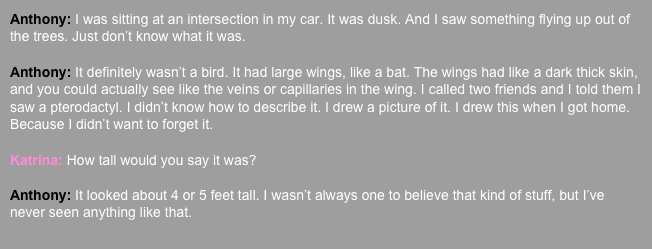 Anthony: I was sitting at an intersection in my car. It was dusk. And I saw something flying up out of the trees. Just don’t know what it was.   Anthony: It definitely wasn’t a bird. It had large wings, like a bat. The wings had like a dark thick skin, and you could actually see like the veins or capillaries in the wing. I called two friends and I told them I saw a pterodactyl. I didn’t know how to describe it. I drew a picture of it. I drew this when I got home. Because I didn’t want to forget it.  Katrina: How tall would you say it was?  Anthony: It looked about 4 or 5 feet tall. I wasn’t always one to believe that kind of stuff, but I’ve never seen anything like that.  